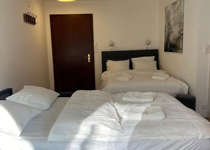 La Perle Montana Apartament